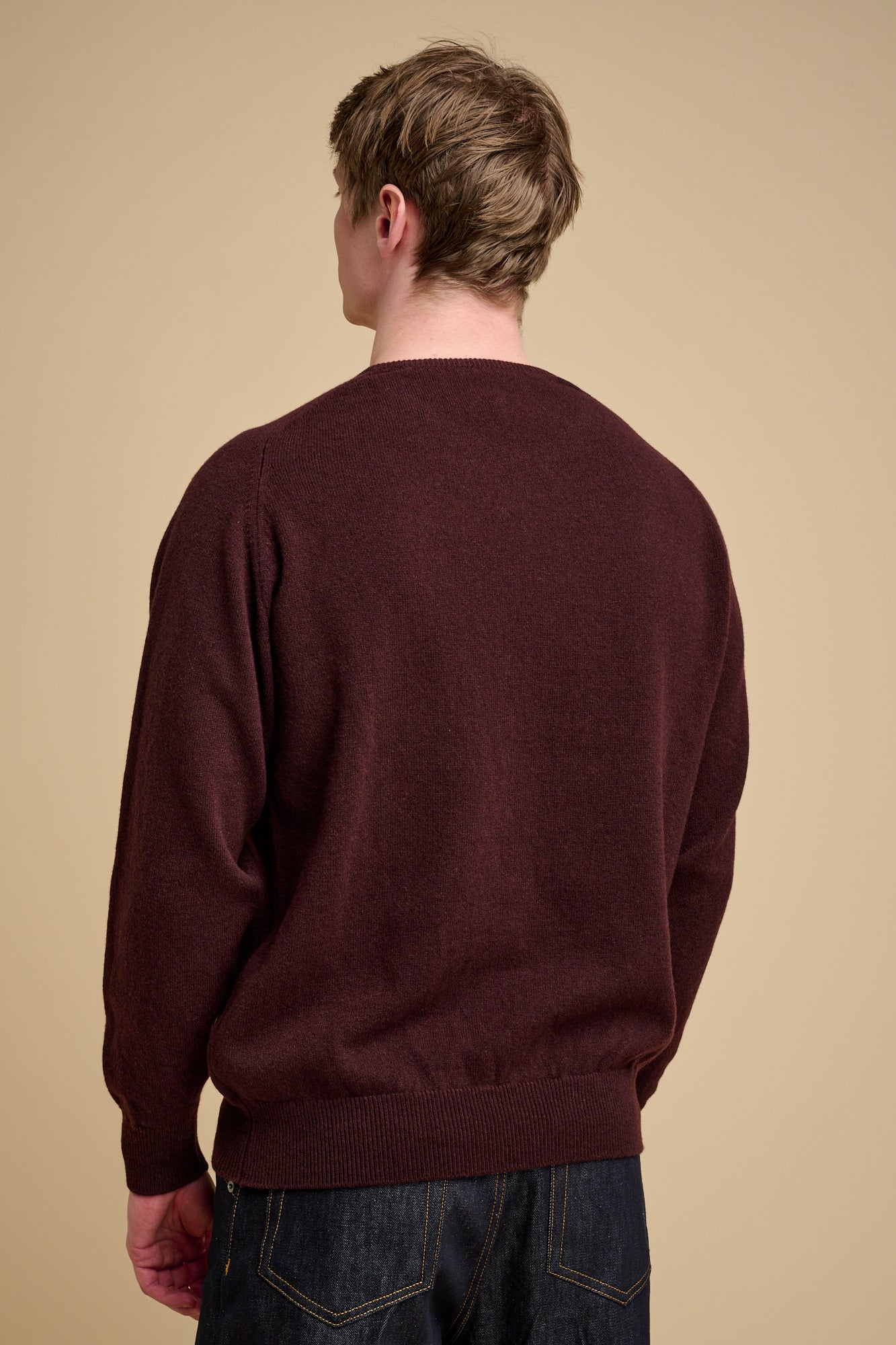 The back of man wearing a chocolate lambswool crew neck jumper against a beige background.