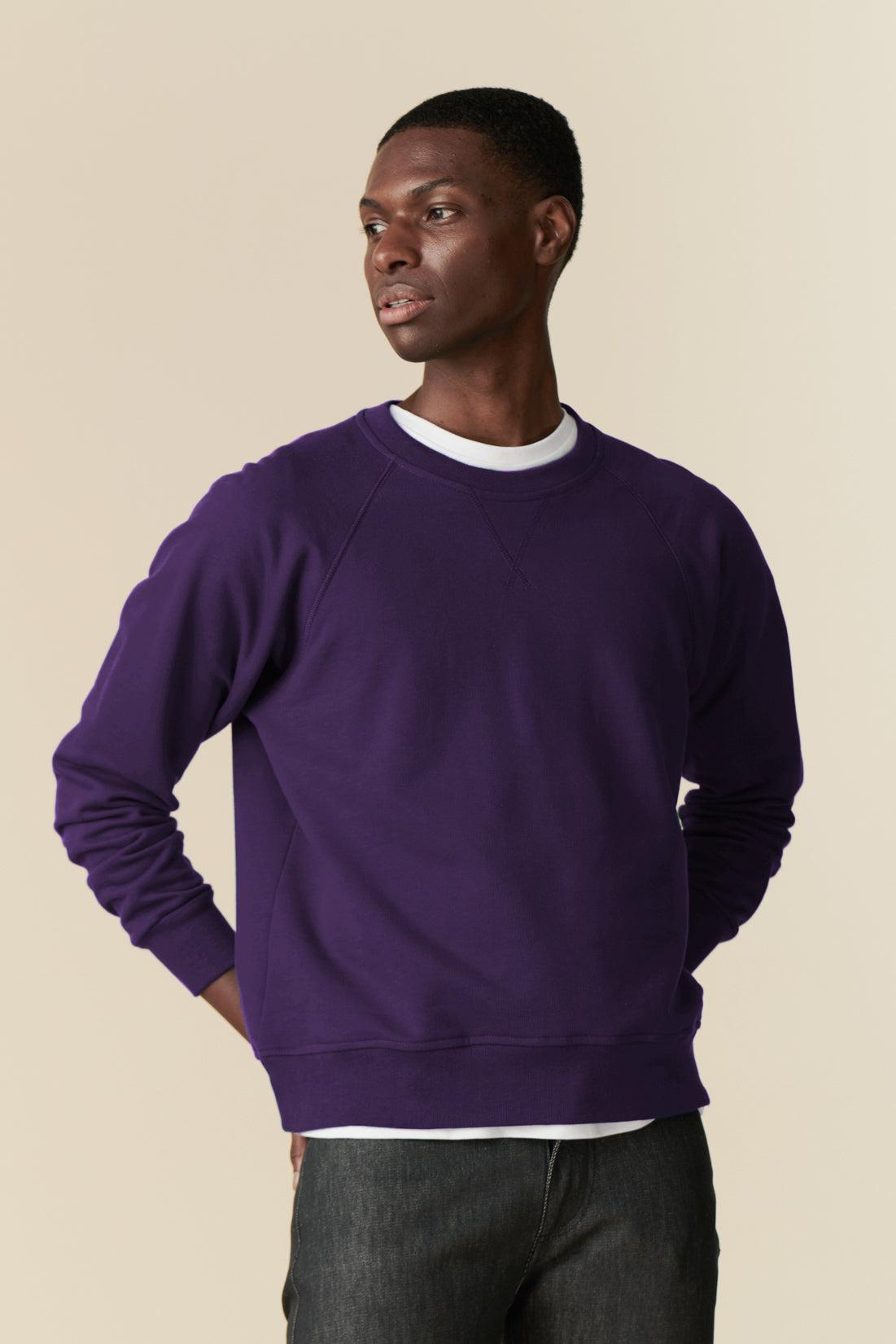 Men's Raglan Sweatshirt - Purple