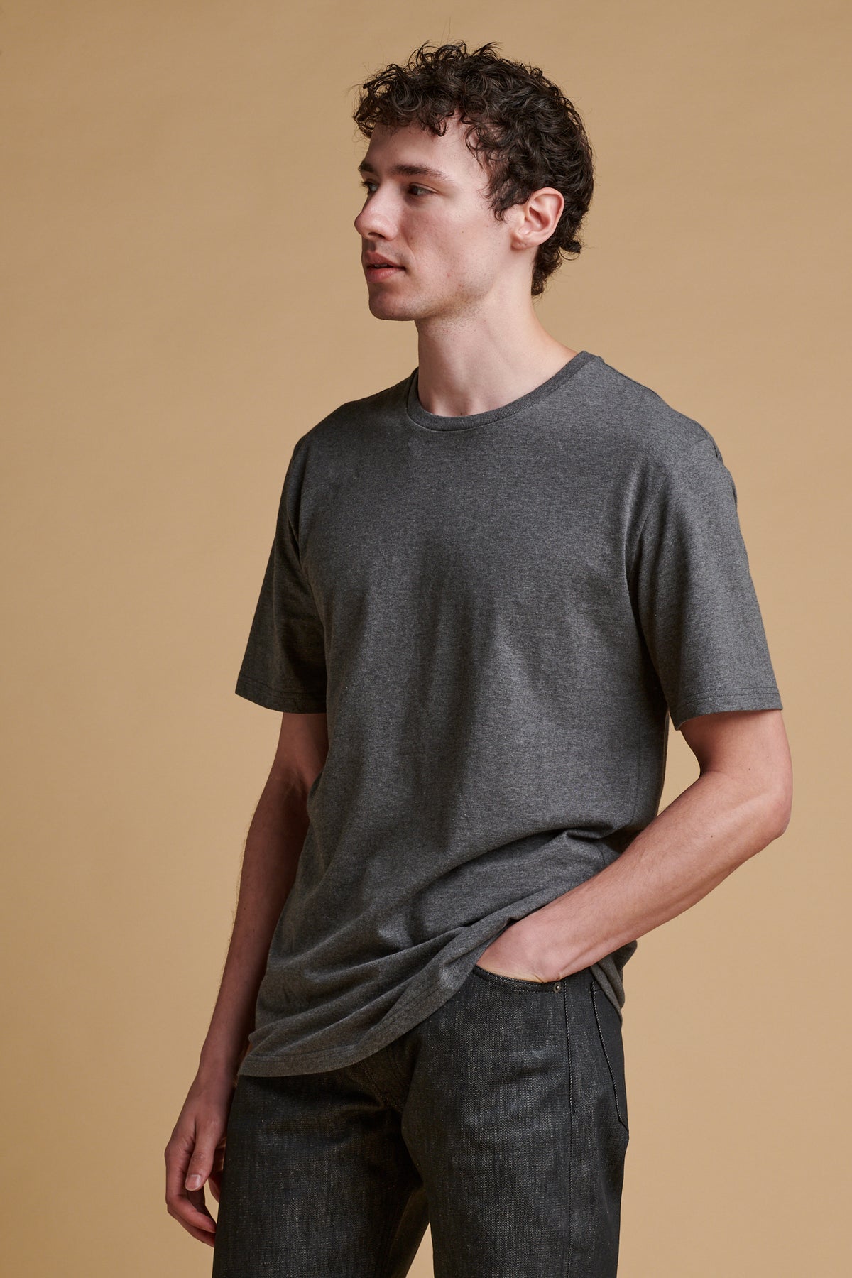 Thigh up of male wearing short sleeve t shirt in charcoal.