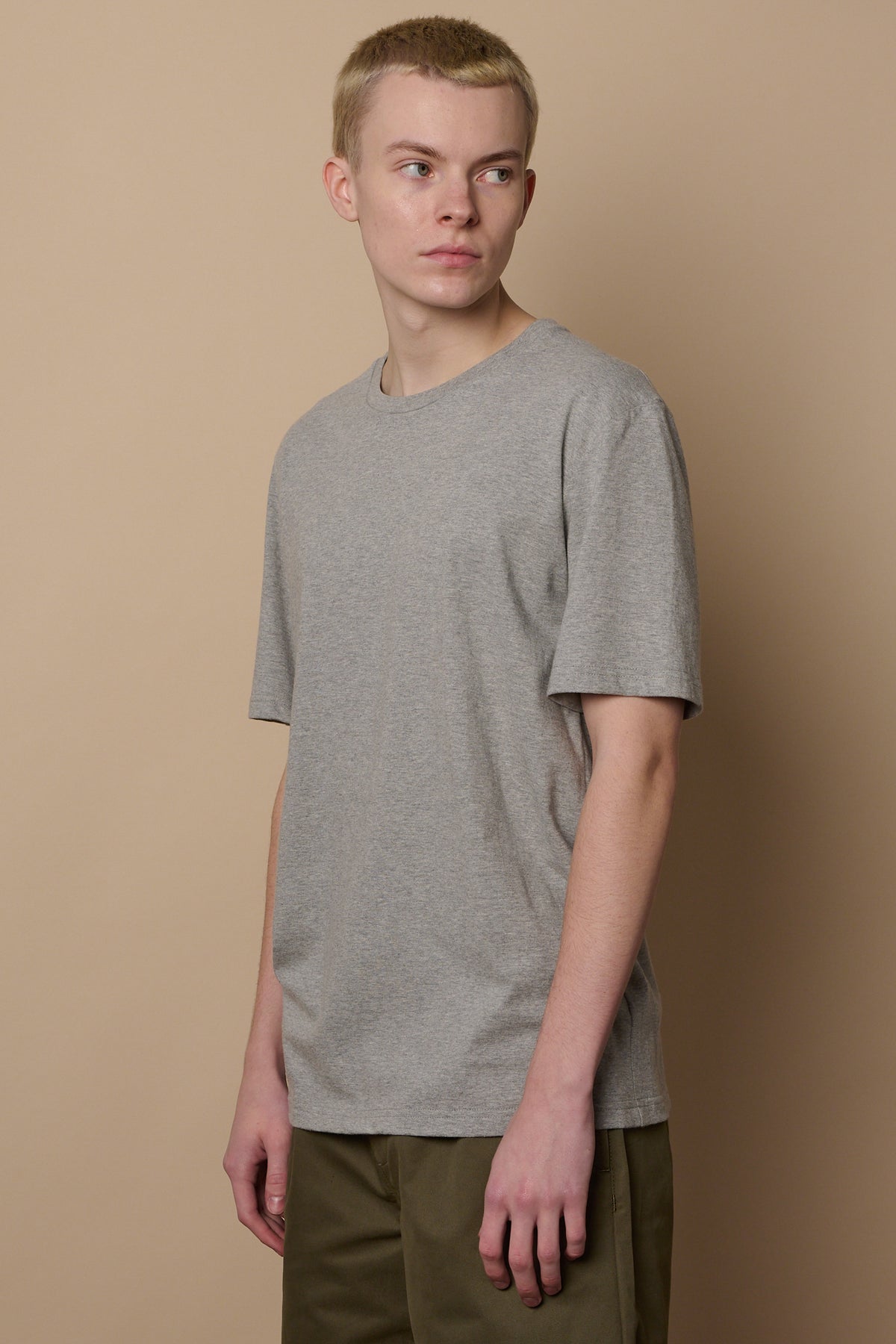 Thigh up image of male looking to the side, with arms by his side wearing short sleeve crew neck t shirt in grey